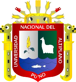 Universidad Nacional del  Altiplano Puno
